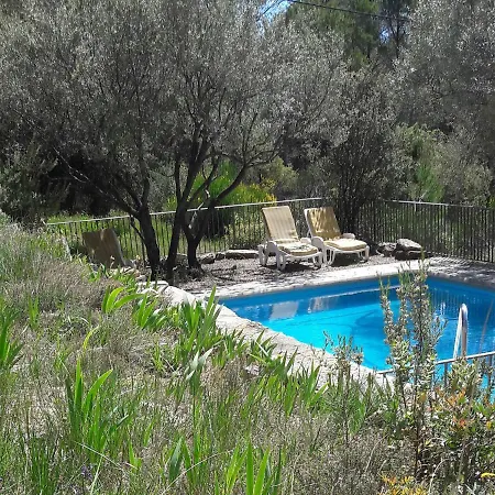 Elegant With Private Pool